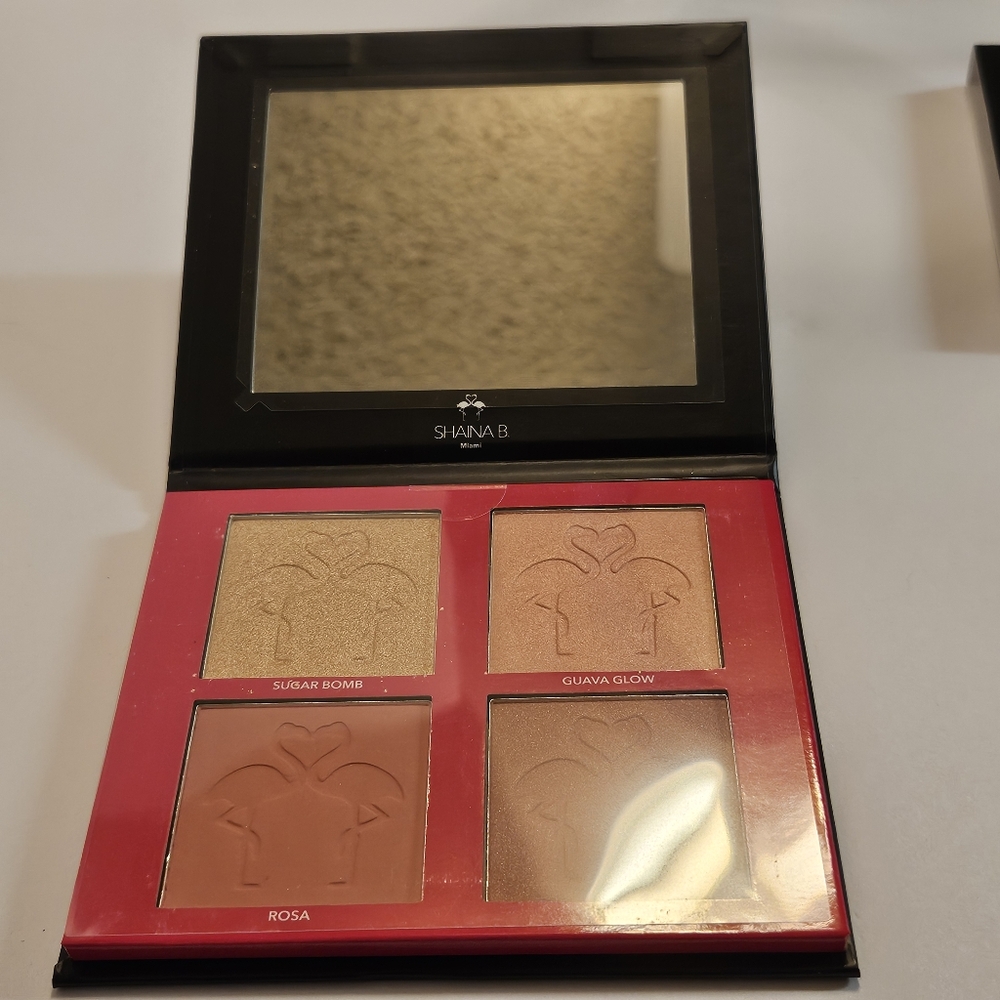 Shaina B Miami Blush and Highlight Palette